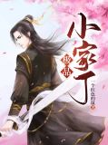 极品家丁11