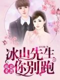 萌妻来袭！冰山先生你别跑