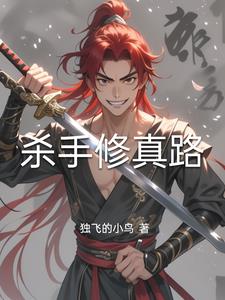 杀手修真小说