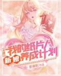 卡牌我的纸片人新娘养成计划漫画