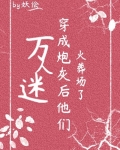万人迷穿成炮灰后他们火葬场了(快穿)txt