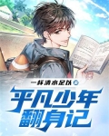 平凡少年翻身记 小说