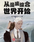从漫威综合世界开始 小说