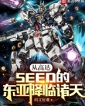 从高达seed的东亚降临诸天最新章节更新内容