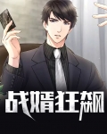 战婿狂飙短剧免费观看