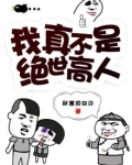 我真不是绝世高人