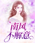 可惜南风不解意什么意思