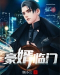 豪婿临门短剧