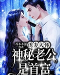 诱妻入怀神秘总裁深度宠免费阅读