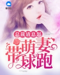 萌妻来袭总裁请签收欠欠欠倩