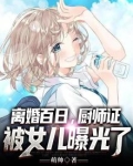 离婚百日,厨师证被女儿曝光了 小说