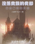 没落贵族什么意思