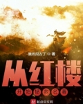 从红楼开始拯救名著起点