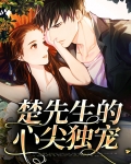 秦先生的心尖宠免费全文阅读
