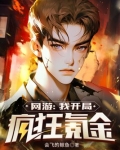 网游:我开局疯狂氪金txt