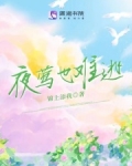 夜莺解释