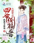 清穿之四爷侧福晋 小说