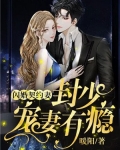 闪婚契约妻封少宠妻有瘾