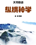 纵横神学 古董
