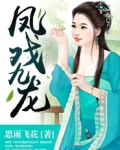 风戏九龙