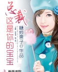 总裁,孩子是我的 小说