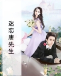 唐先生的追妻二三事免费阅读