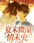 夏末未央表达什么意思
