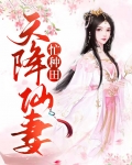 天降仙妻女主姓叶