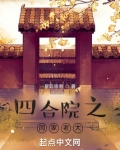 四合院之闫家老大完整版小说