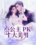 小公主PK十大美男小说