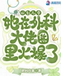 回到九零,她在外科大佬圈火爆了类似小说