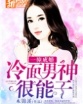 一撞成婚：冷面男神很能干