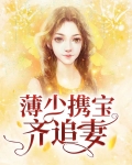 薄少宠妻