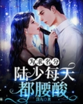 为求名分，陆少每天都腰酸