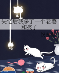 失忆后我的多了个未婚妻小说
